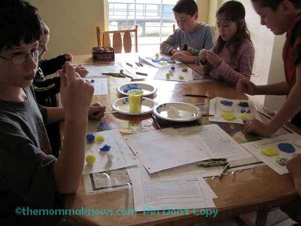 Homeschool Science Co-op