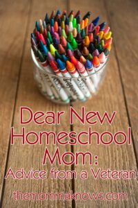 Dear New Homeschool Mom: Advice from a Veteran
