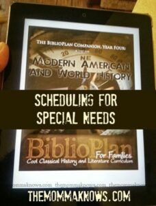 Scheduling BiblioPlan for Special Needs