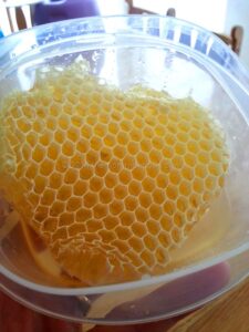 From the Bees Comes the Honey