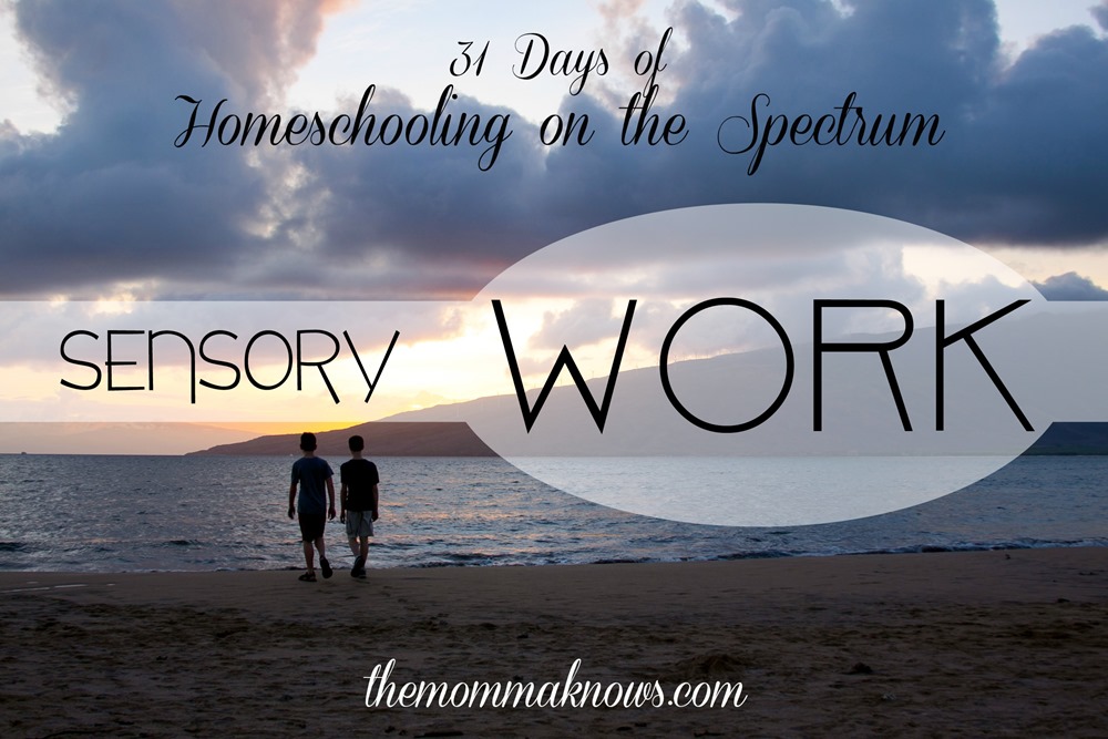 Sensory Work {31 Days of #Homeschooling on the Spectrum}