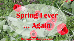 Spring Fever.... Again