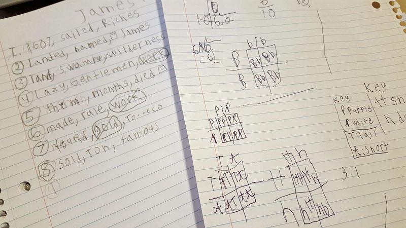 Hope for Homeschooling with Autism