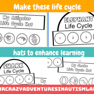 Life Cycle Hat Bundle